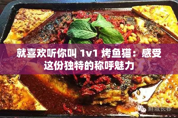 就喜欢听你叫 1v1 烤鱼猫：感受这份独特的称呼魅力