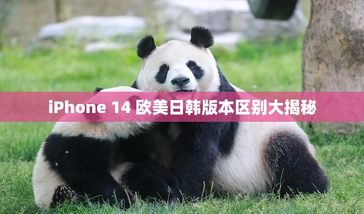 iPhone 14 欧美日韩版本区别大揭秘