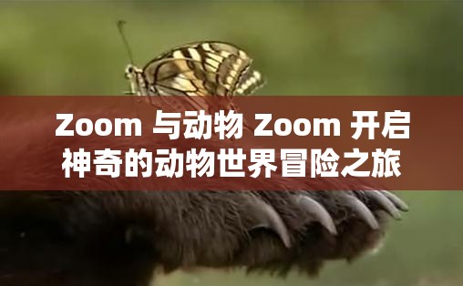 Zoom 与动物 Zoom 开启神奇的动物世界冒险之旅