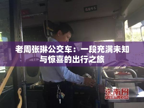 老周张琳公交车：一段充满未知与惊喜的出行之旅