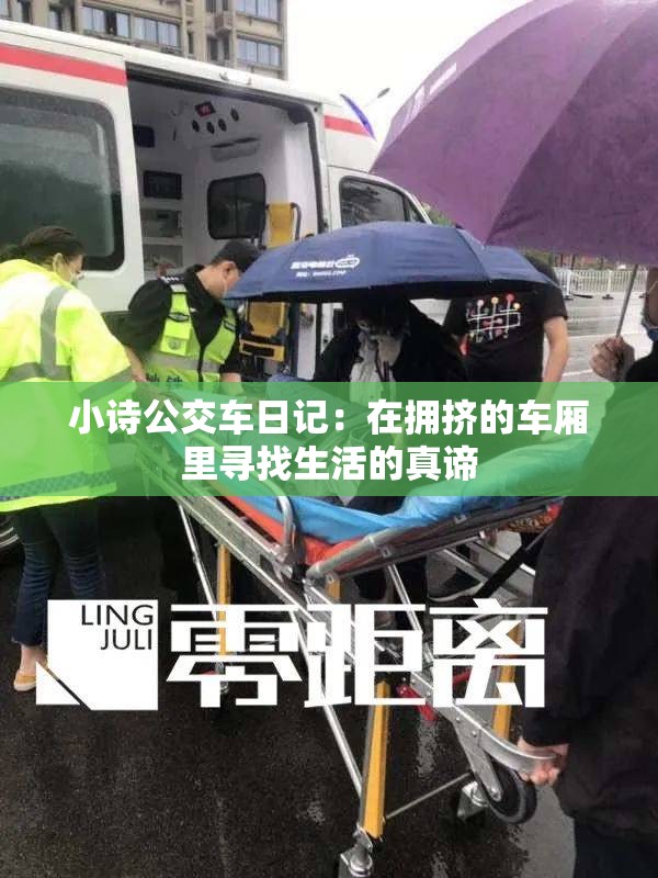 小诗公交车日记：在拥挤的车厢里寻找生活的真谛