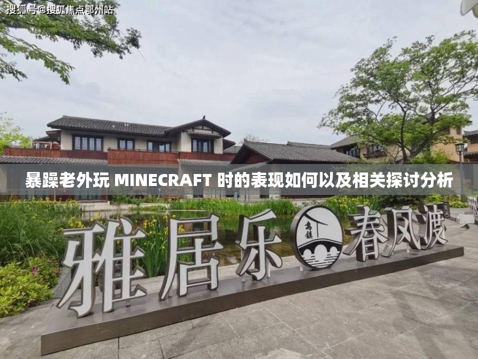 暴躁老外玩 MINECRAFT 时的表现如何以及相关探讨分析