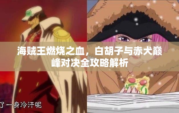海贼王燃烧之血，白胡子与赤犬巅峰对决全攻略解析