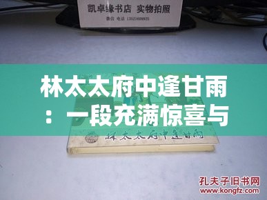 林太太府中逢甘雨：一段充满惊喜与转折的奇妙经历