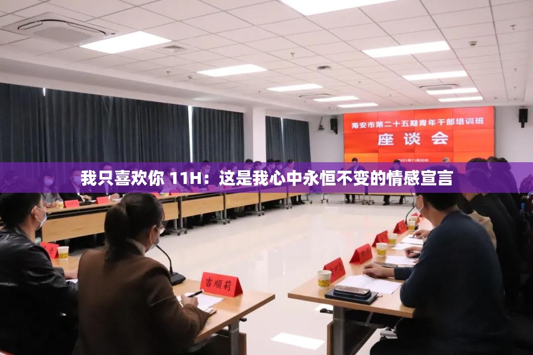 我只喜欢你 11H：这是我心中永恒不变的情感宣言