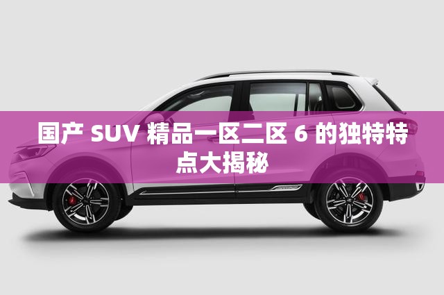 国产 SUV 精品一区二区 6 的独特特点大揭秘