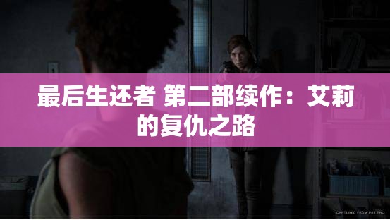 最后生还者 第二部续作：艾莉的复仇之路