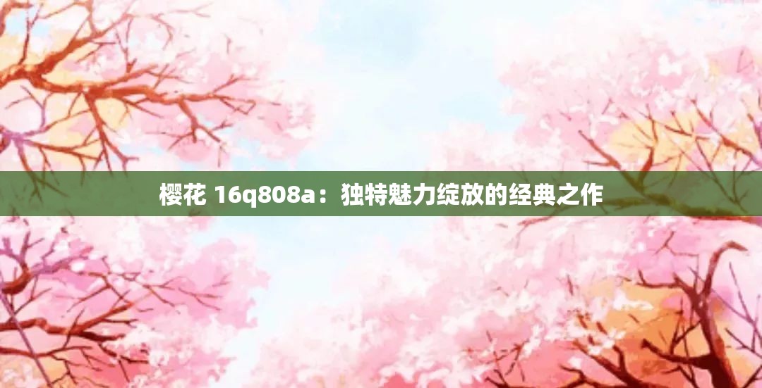 樱花 16q808a：独特魅力绽放的经典之作