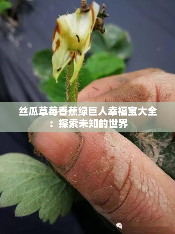 丝瓜草莓香蕉绿巨人幸福宝大全：探索未知的世界