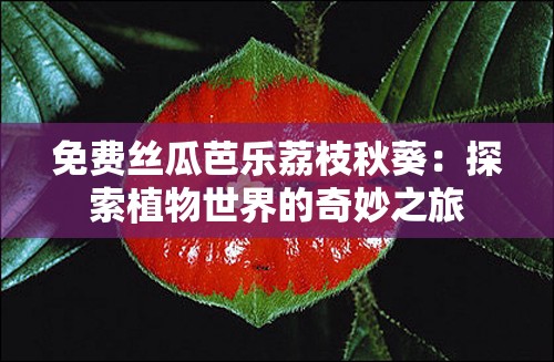 免费丝瓜芭乐荔枝秋葵：探索植物世界的奇妙之旅