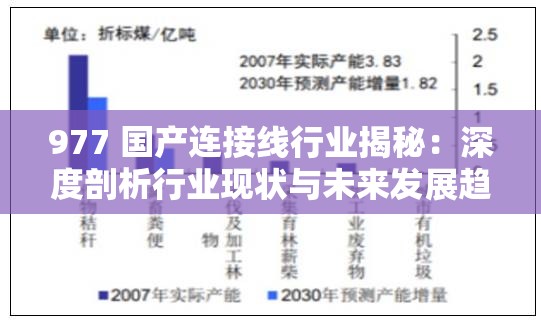 977 国产连接线行业揭秘：深度剖析行业现状与未来发展趋势