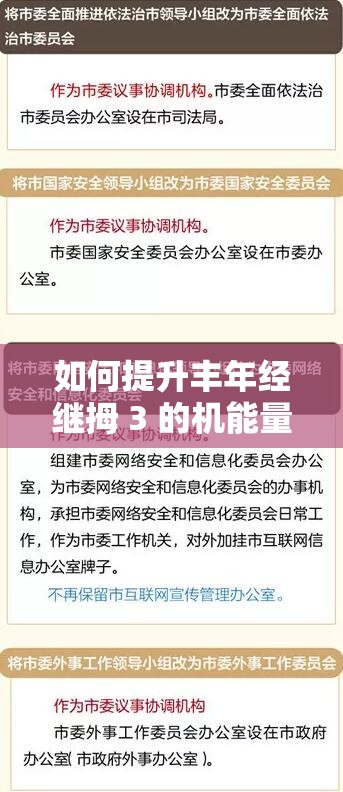 如何提升丰年经继拇 3 的机能量发展之策略与方法探讨