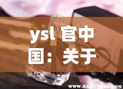 ysl 官中国：关于其品牌历史与产品特色的详细解读