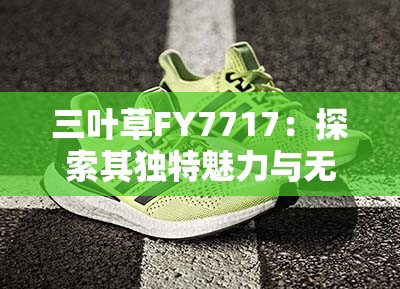 三叶草FY7717：探索其独特魅力与无限可能的精彩之旅