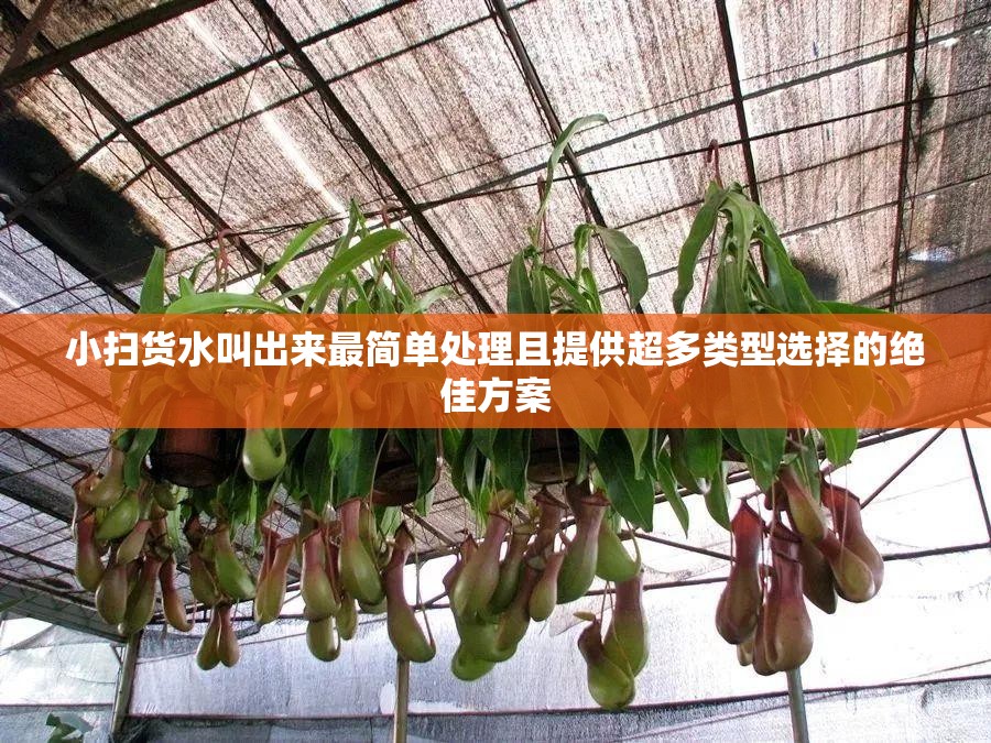 小扫货水叫出来最简单处理且提供超多类型选择的绝佳方案