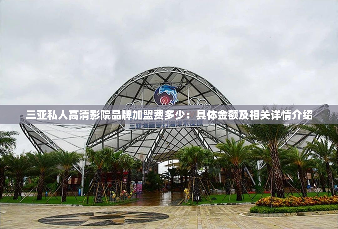 三亚私人高清影院品牌加盟费多少：具体金额及相关详情介绍