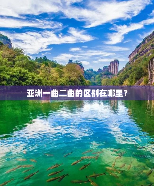 亚洲一曲二曲的区别在哪里？