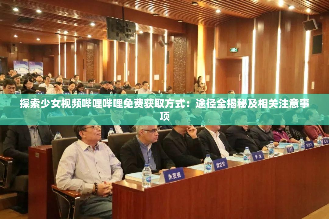 探索少女视频哔哩哔哩免费获取方式：途径全揭秘及相关注意事项