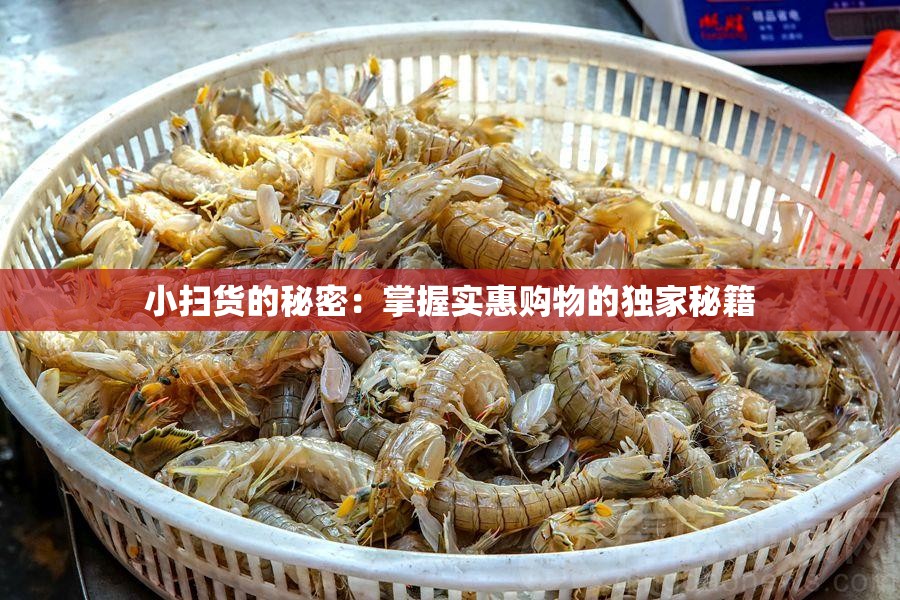 小扫货的秘密：掌握实惠购物的独家秘籍