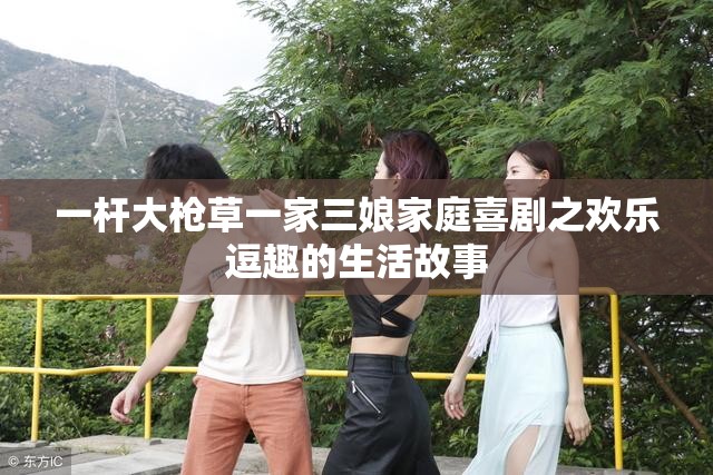 一杆大枪草一家三娘家庭喜剧之欢乐逗趣的生活故事