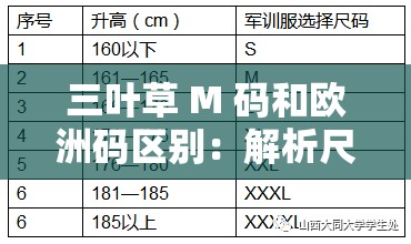 三叶草 M 码和欧洲码区别：解析尺码差异与选择要点