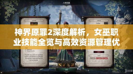 神界原罪2深度解析，女巫职业技能全览与高效资源管理优化策略指南