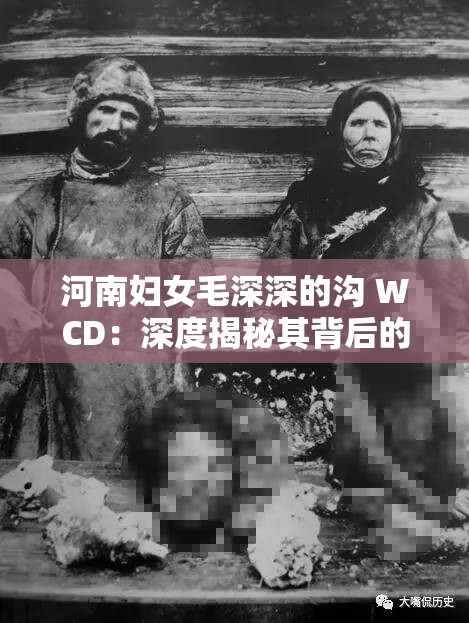 河南妇女毛深深的沟 WCD：深度揭秘其背后的故事