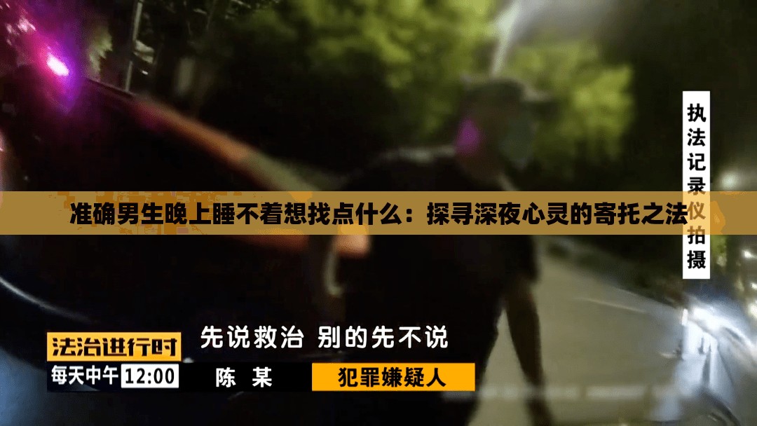 准确男生晚上睡不着想找点什么：探寻深夜心灵的寄托之法