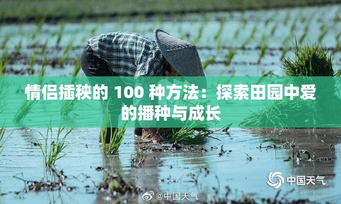 情侣插秧的 100 种方法：探索田园中爱的播种与成长