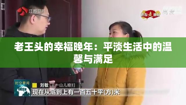 老王头的幸福晚年：平淡生活中的温馨与满足