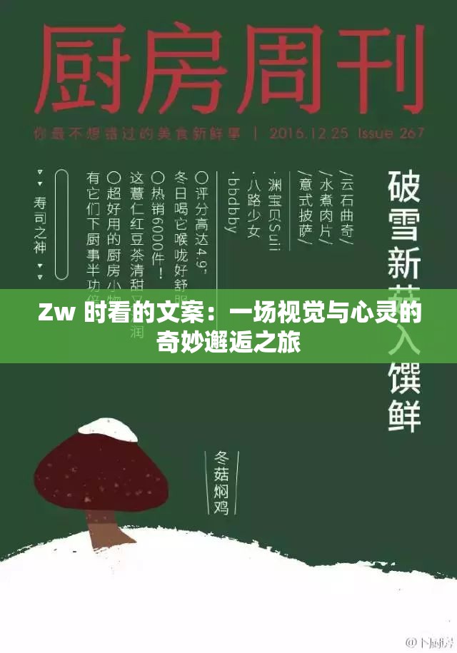 Zw 时看的文案：一场视觉与心灵的奇妙邂逅之旅