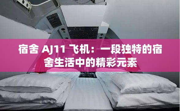宿舍 AJ11 飞机：一段独特的宿舍生活中的精彩元素