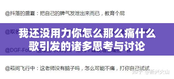 我还没用力你怎么那么痛什么歌引发的诸多思考与讨论