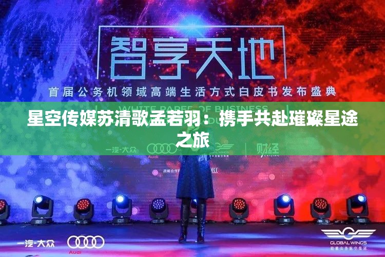 星空传媒苏清歌孟若羽：携手共赴璀璨星途之旅
