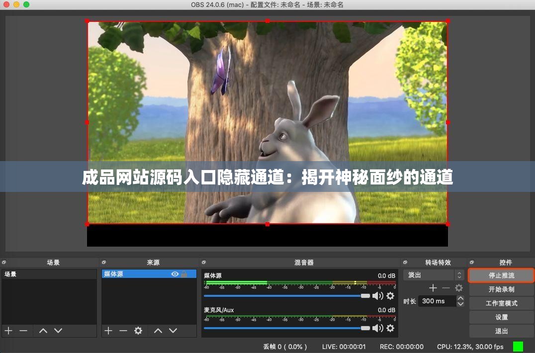 成品网站源码入口隐藏通道：揭开神秘面纱的通道