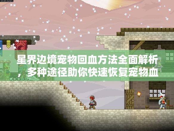 星界边境宠物回血方法全面解析，多种途径助你快速恢复宠物血量