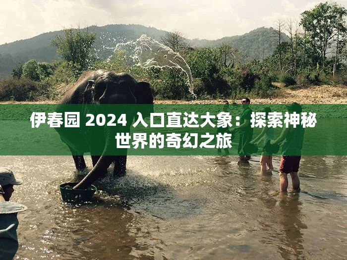伊春园 2024 入口直达大象：探索神秘世界的奇幻之旅