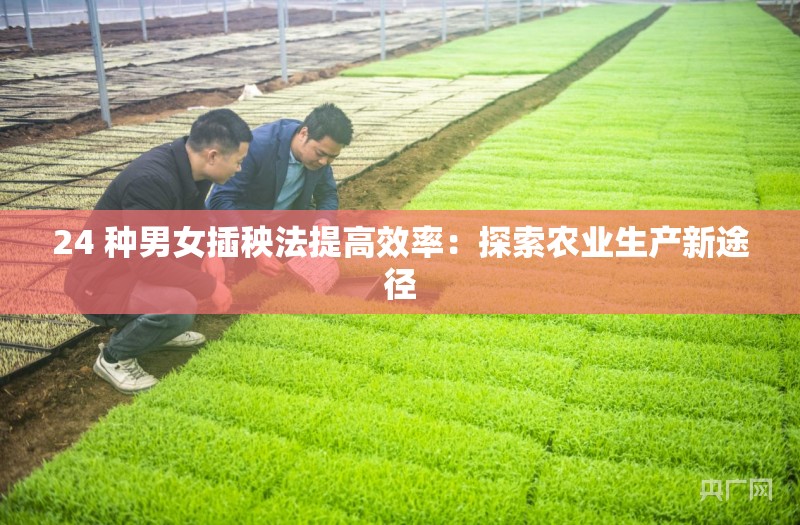 24 种男女插秧法提高效率：探索农业生产新途径