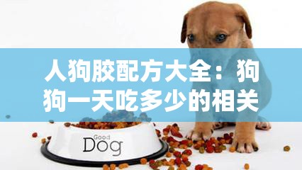 人狗胶配方大全：狗狗一天吃多少的相关知识及注意事项