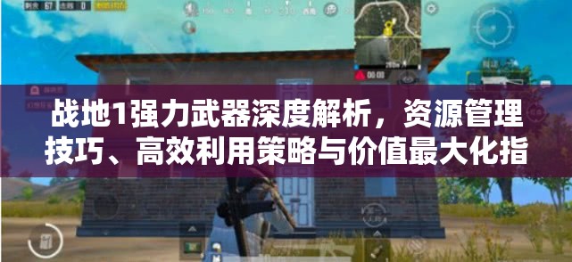 战地1强力武器深度解析，资源管理技巧、高效利用策略与价值最大化指南