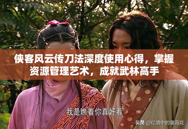 侠客风云传刀法深度使用心得，掌握资源管理艺术，成就武林高手