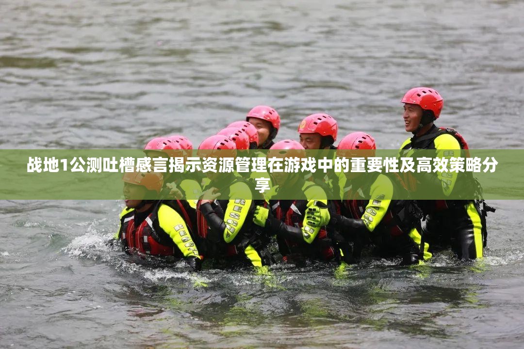 战地1公测吐槽感言揭示资源管理在游戏中的重要性及高效策略分享