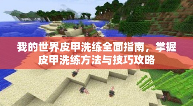 我的世界皮甲洗练全面指南，掌握皮甲洗练方法与技巧攻略