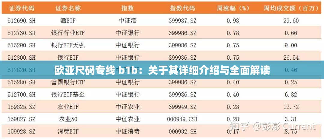 欧亚尺码专线 b1b：关于其详细介绍与全面解读