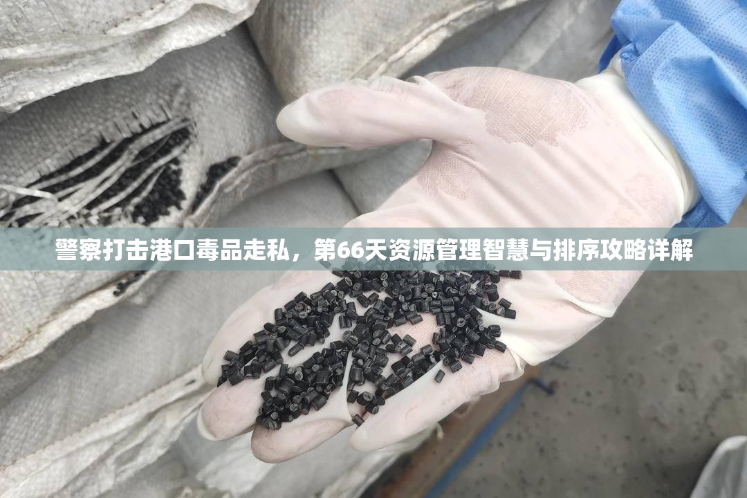 警察打击港口毒品走私，第66天资源管理智慧与排序攻略详解