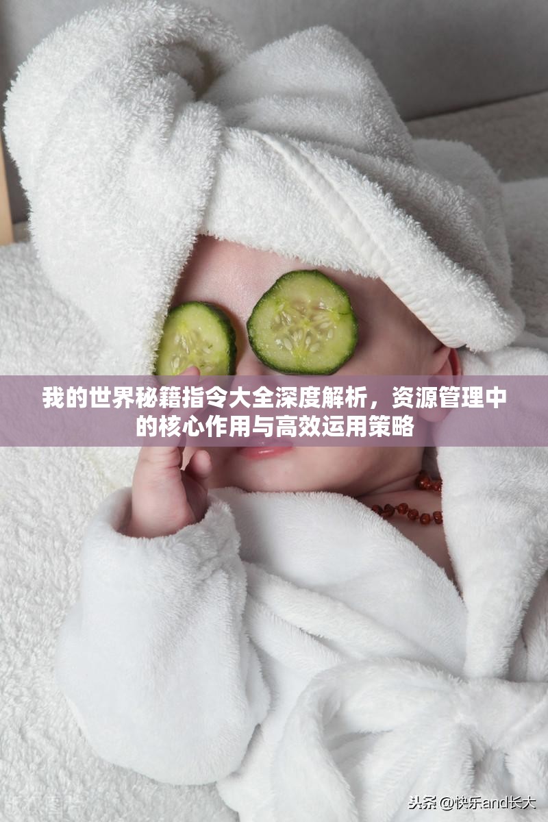 我的世界秘籍指令大全深度解析，资源管理中的核心作用与高效运用策略