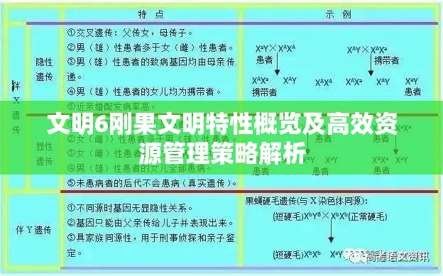 文明6刚果文明特性概览及高效资源管理策略解析