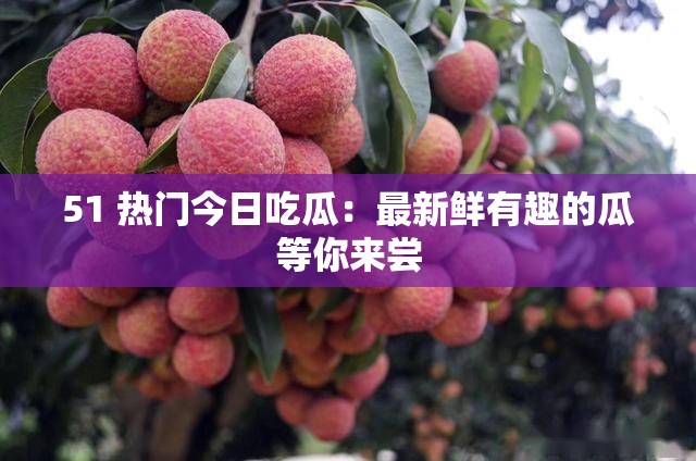 51 热门今日吃瓜：最新鲜有趣的瓜等你来尝
