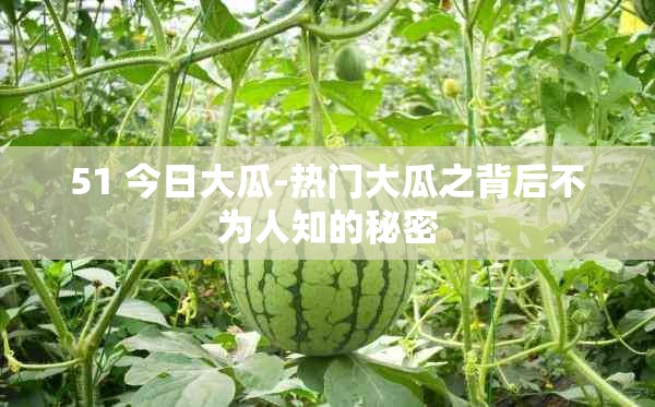 51 今日大瓜-热门大瓜之背后不为人知的秘密