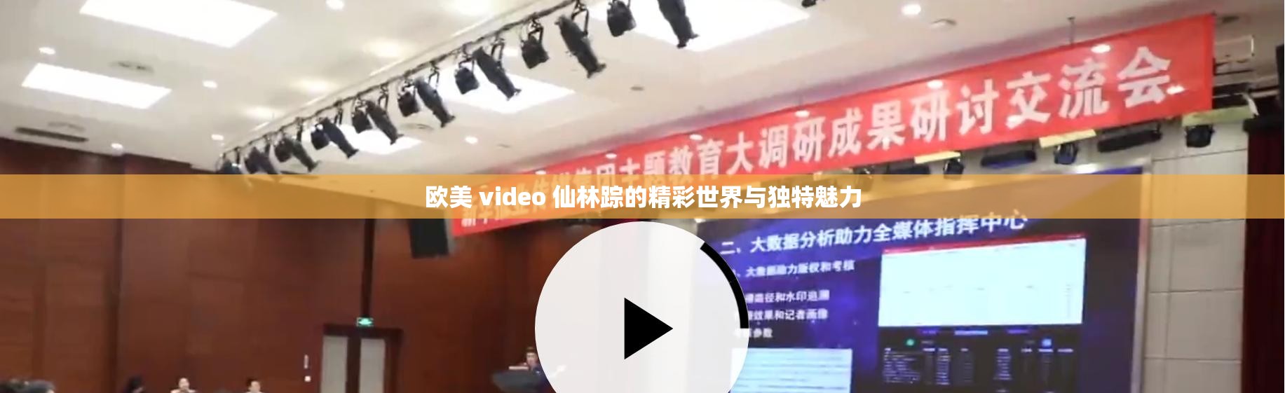 欧美 video 仙林踪的精彩世界与独特魅力